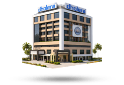 dholera abcd dolphin journey